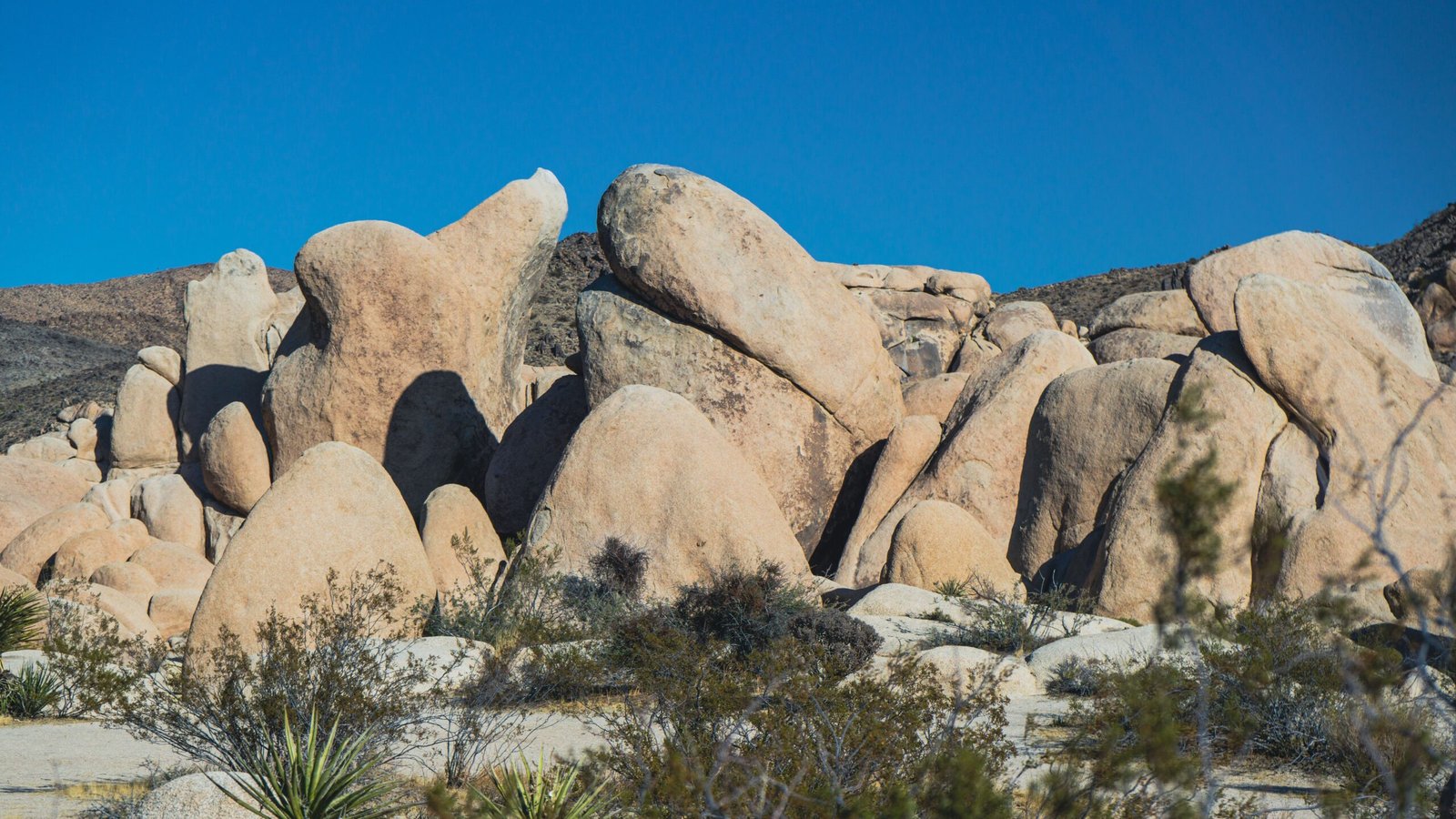Explore Joshua Tree National Park's Hidden Valley for rock climbing and hiking.