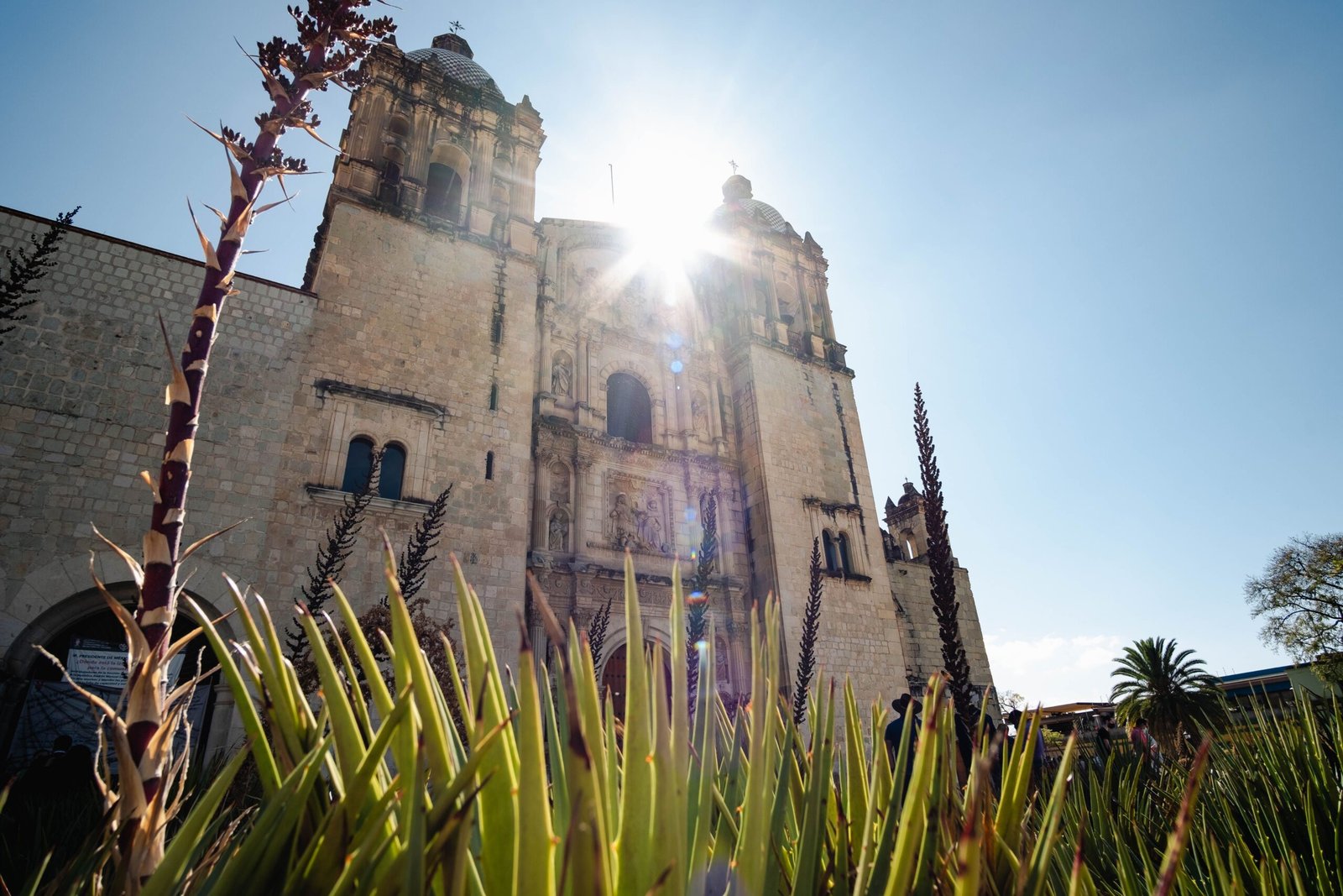 Visit the stunning Santo Domingo Church and its botanical garden.