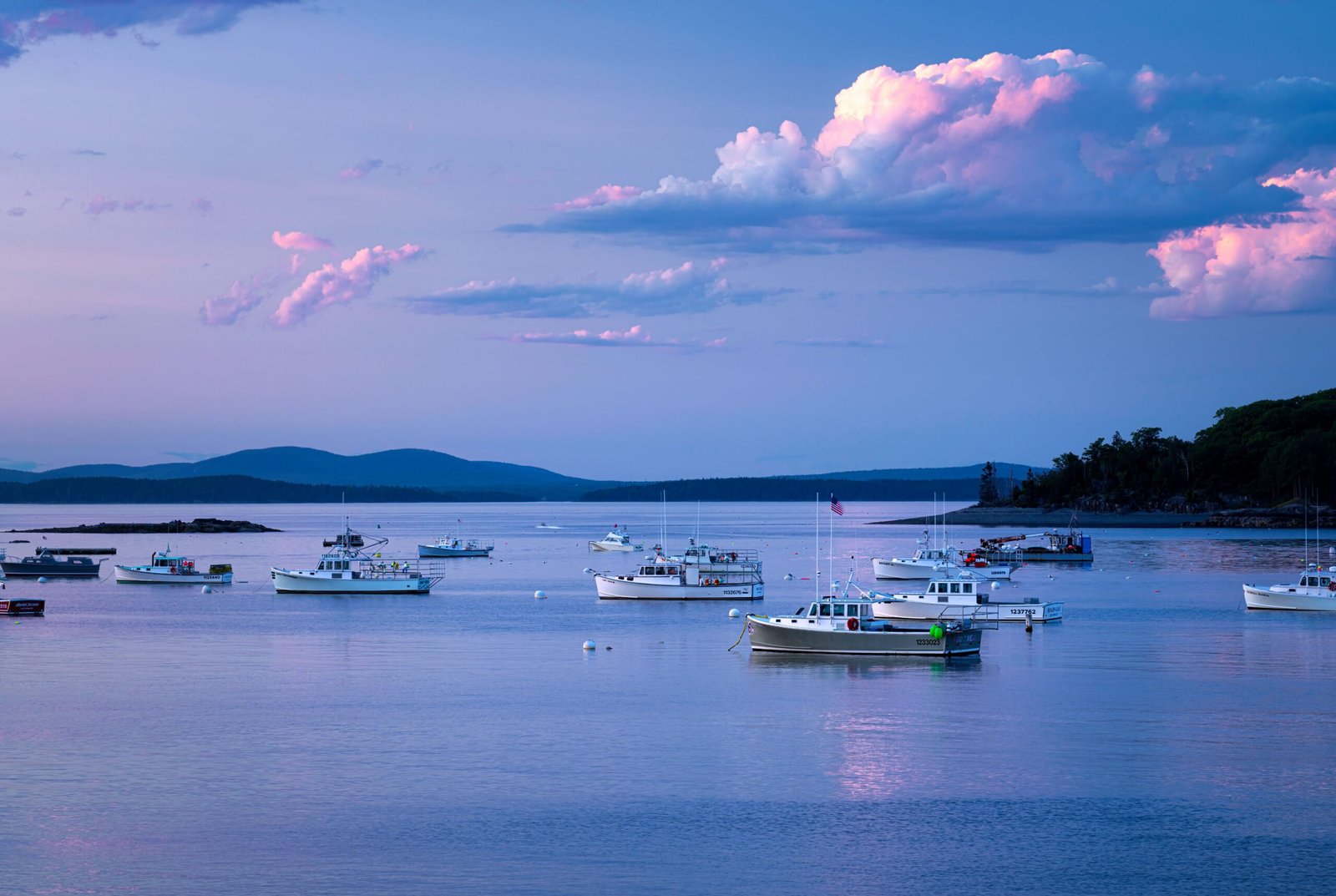 things to do in bar harbor maine