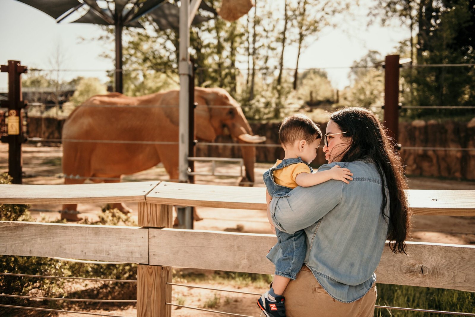 Enjoy a family day at Tautphaus Park and Zoo