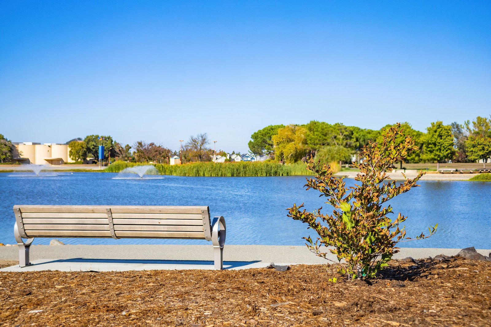 Discover the beauty of Twin Falls City Park, featuring stunning gardens and picnic areas.