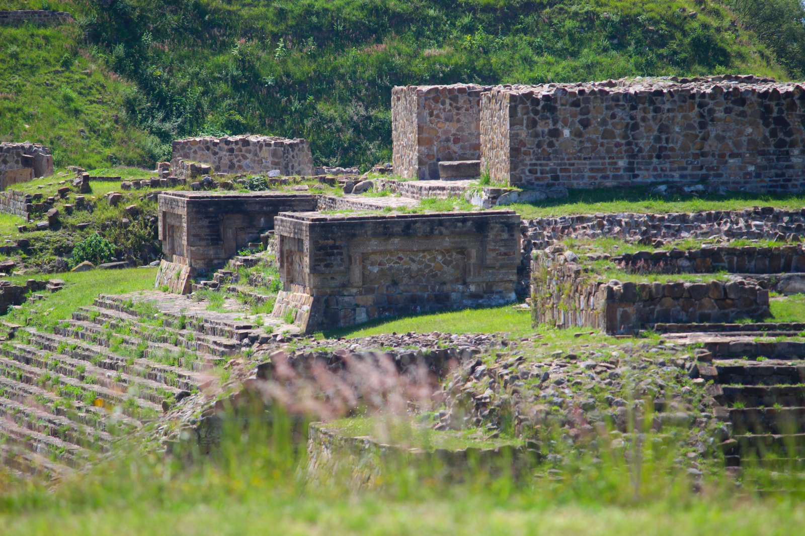 Explore the archaeological site of Monte Albán.