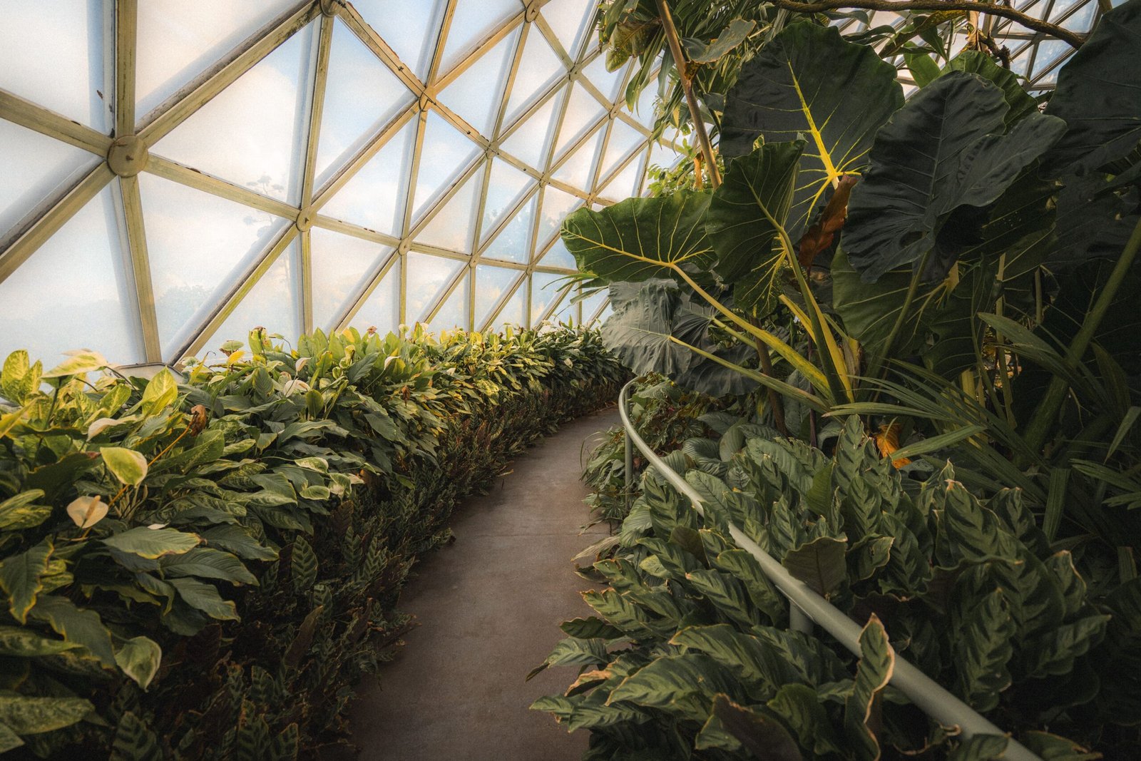 Visit the Naples Botanical Garden for stunning flora and immersive exhibits.