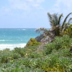 things to do in tulum