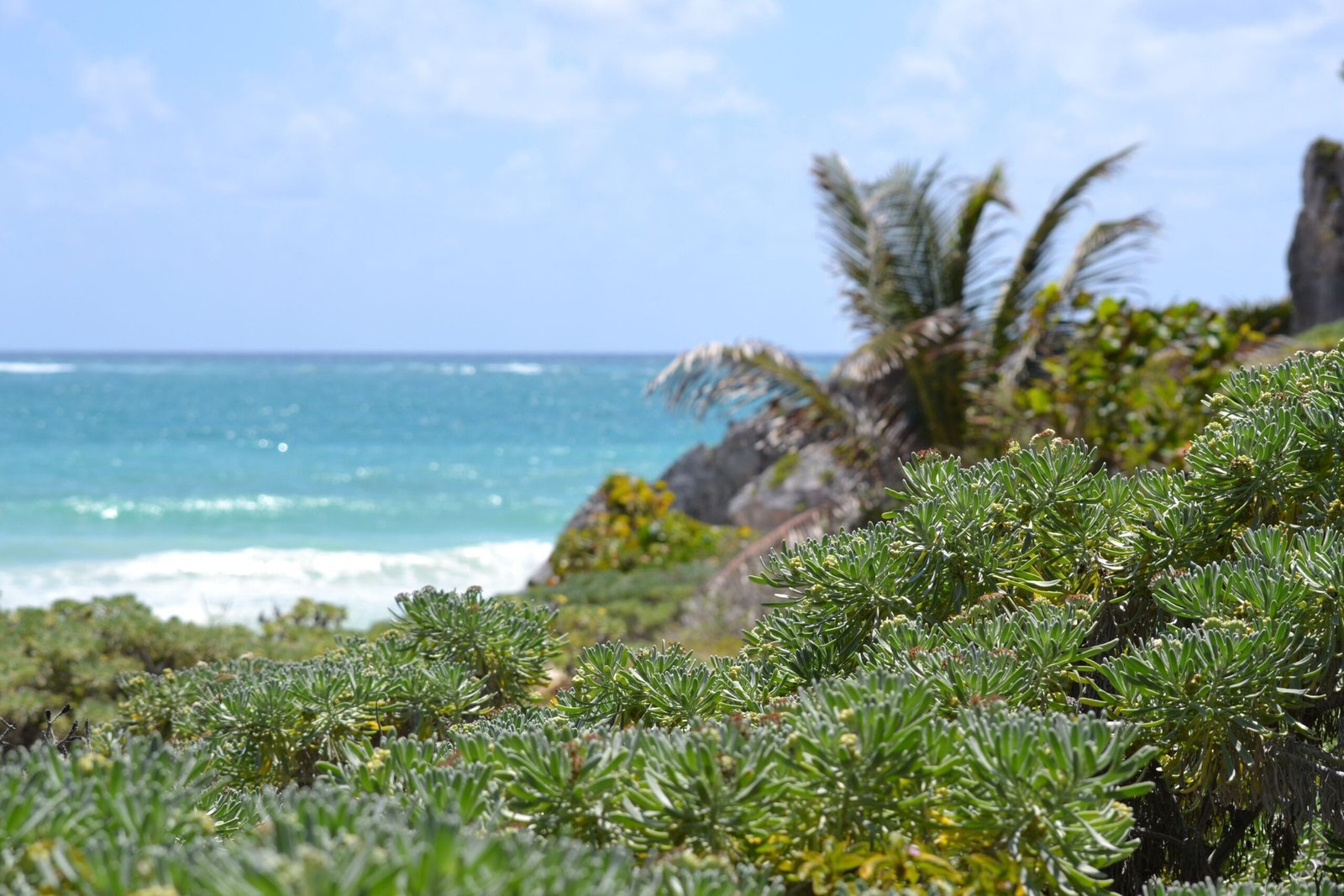things to do in tulum