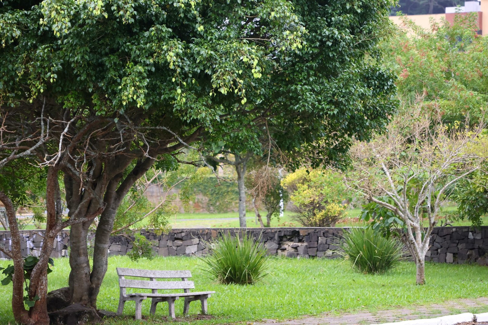 Discover the lush Botanical Gardens at Mount Isabel de Torres.