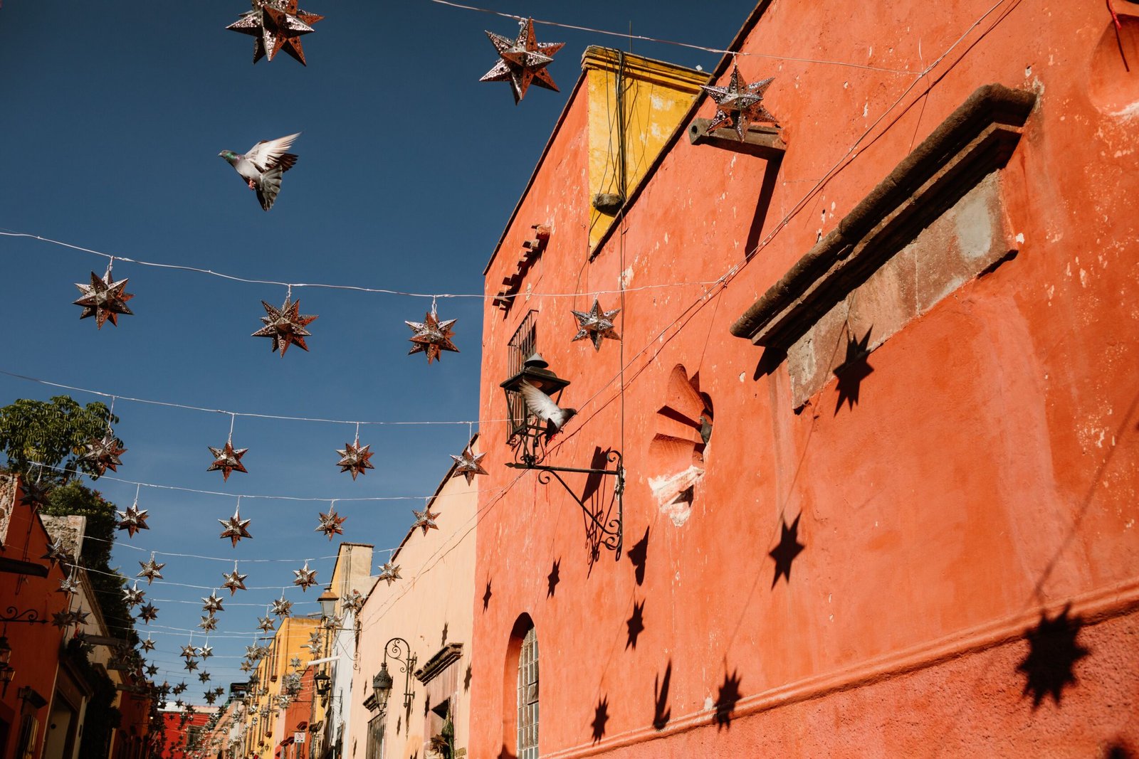 Stroll through the historic Jardin Principal in the heart of San Miguel de Allende