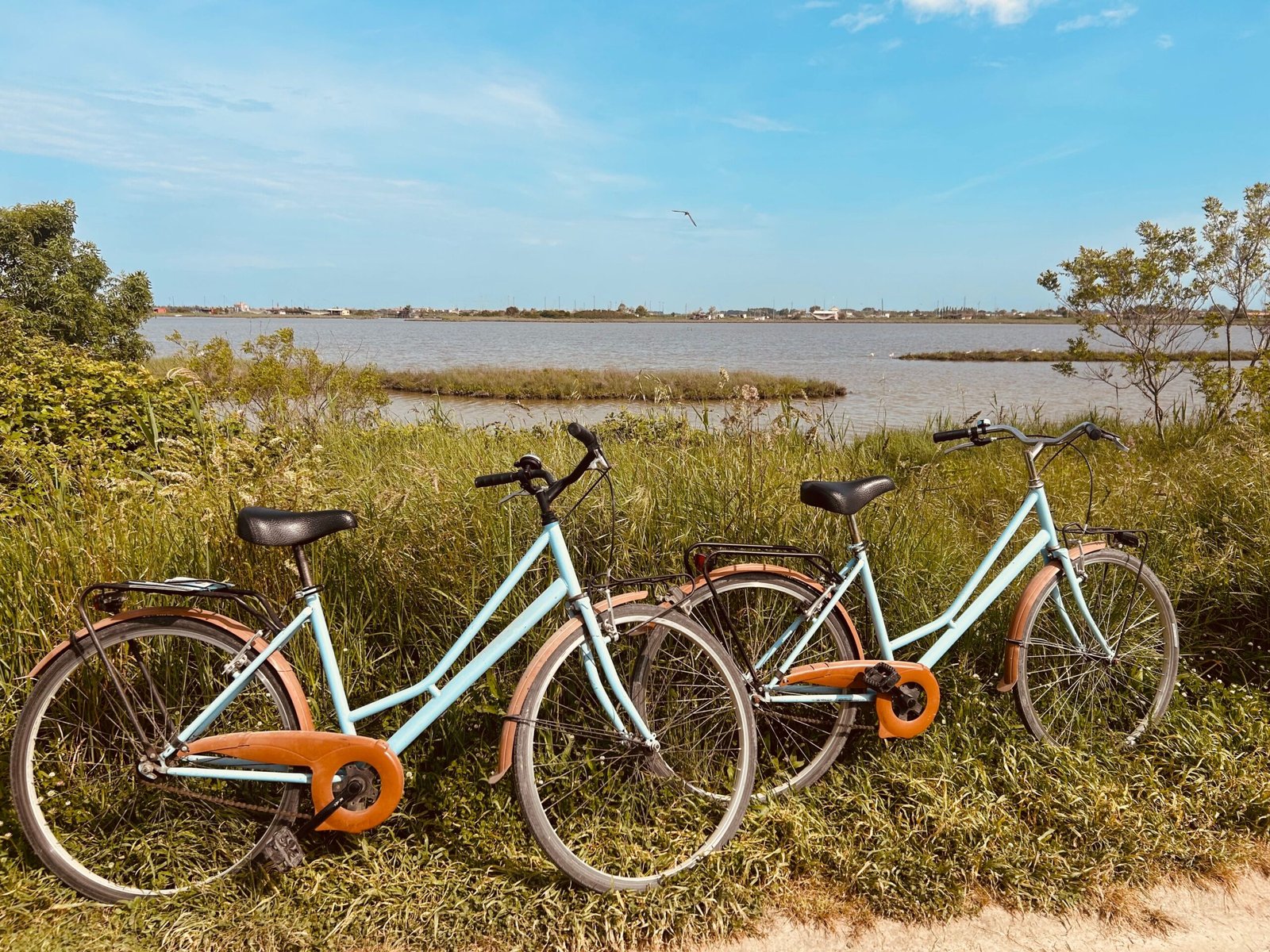 Take a scenic bike ride along the Vineyard Haven to Oak Bluffs Coastal Bike Path.