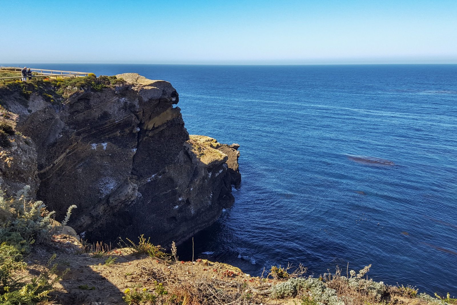 Explore Point Lobos State Natural Reserve with its breathtaking coastal trails.