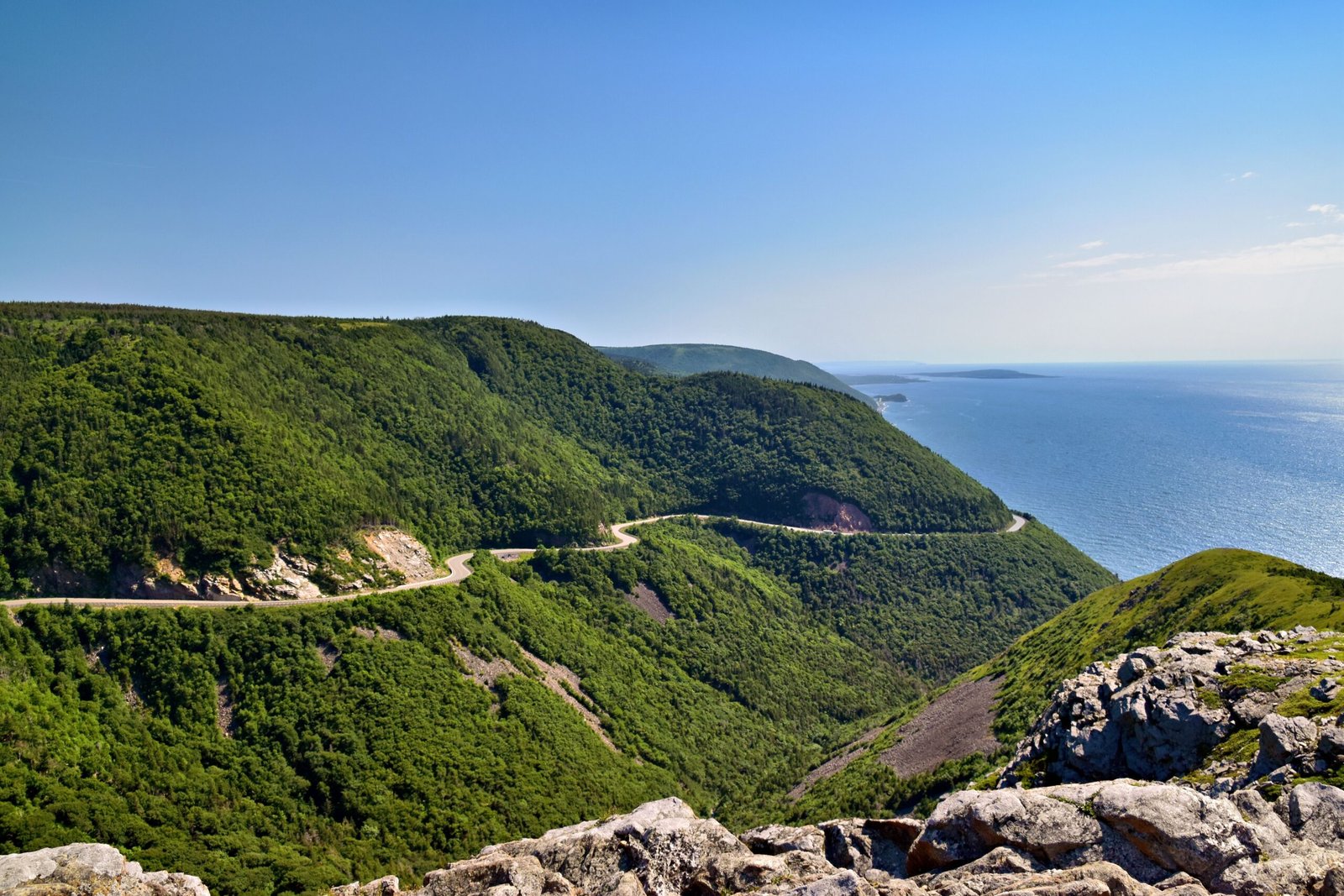 Take a scenic drive along the Park Loop Road to catch breathtaking vistas.