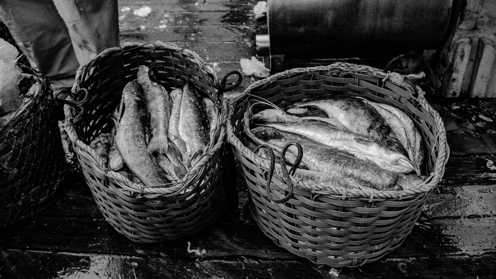Enjoy fresh seafood at the historic Gloucester Fishermen's Wharf