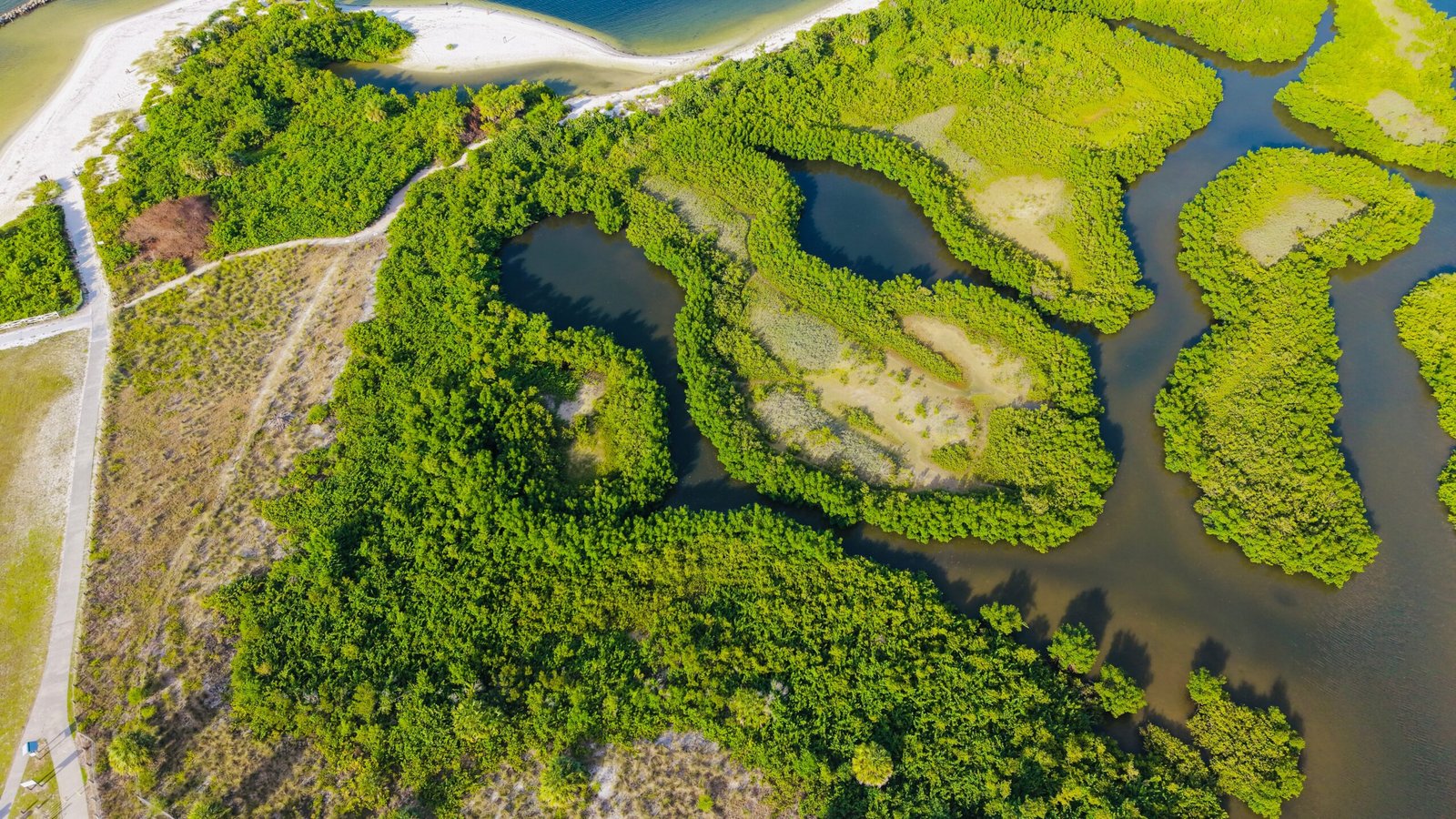 Explore the natural beauty of Delnor-Wiggins Pass State Park.