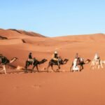things to do in morocco