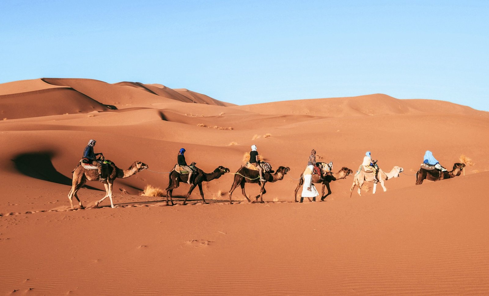 things to do in morocco