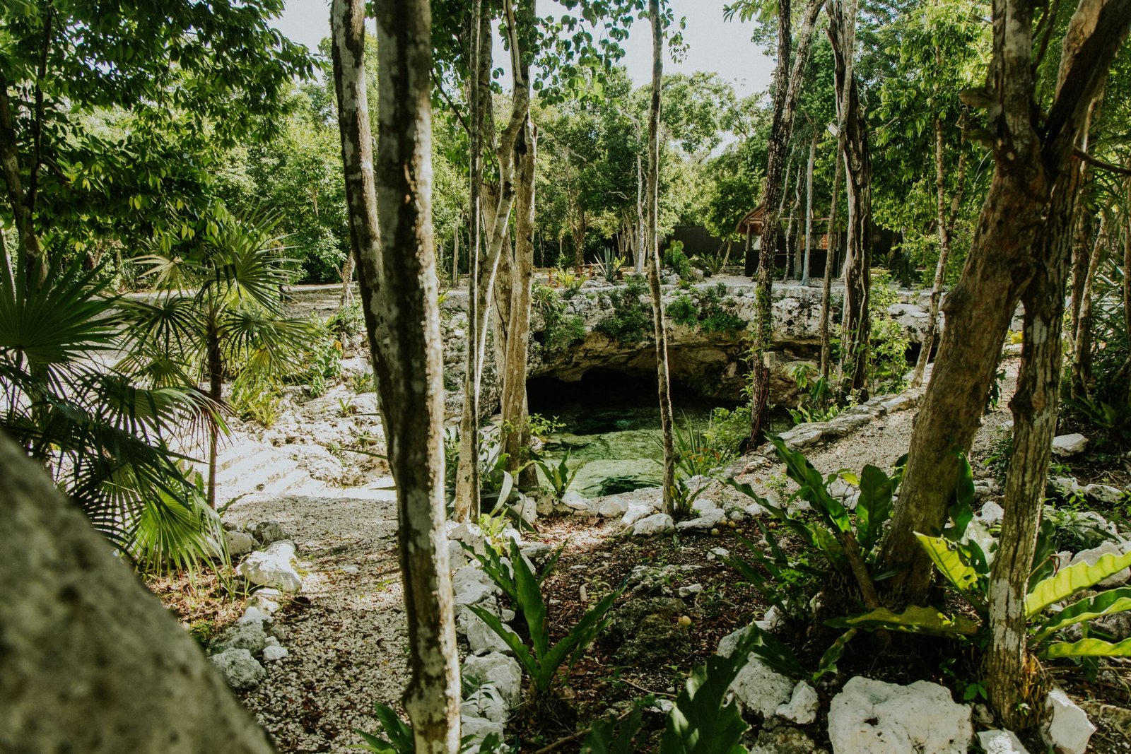 Explore the vibrant local scene at Tulum's Aldea Zama neighborhood