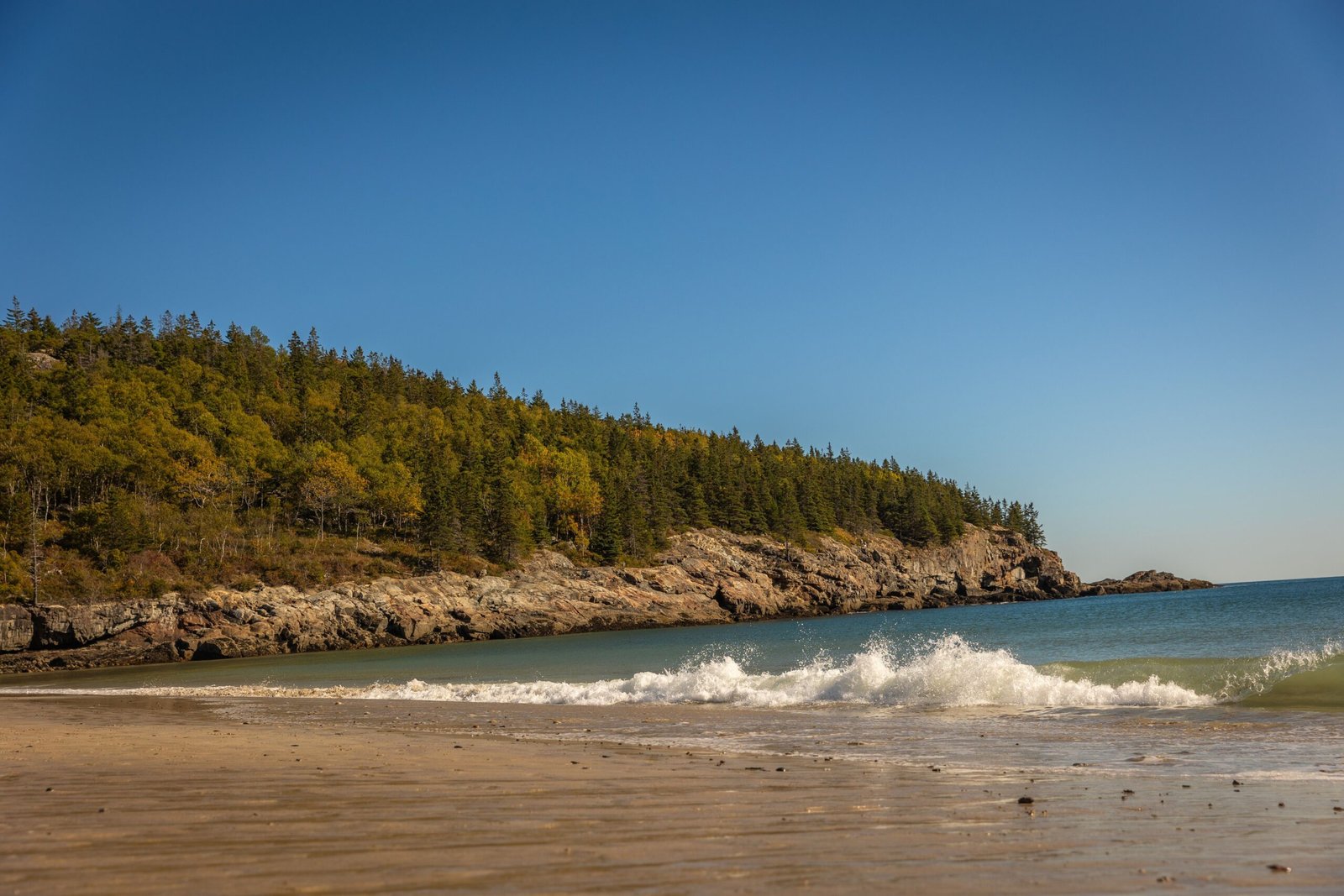 Relax at Sand Beach, one of the few sandy beaches in Acadia.