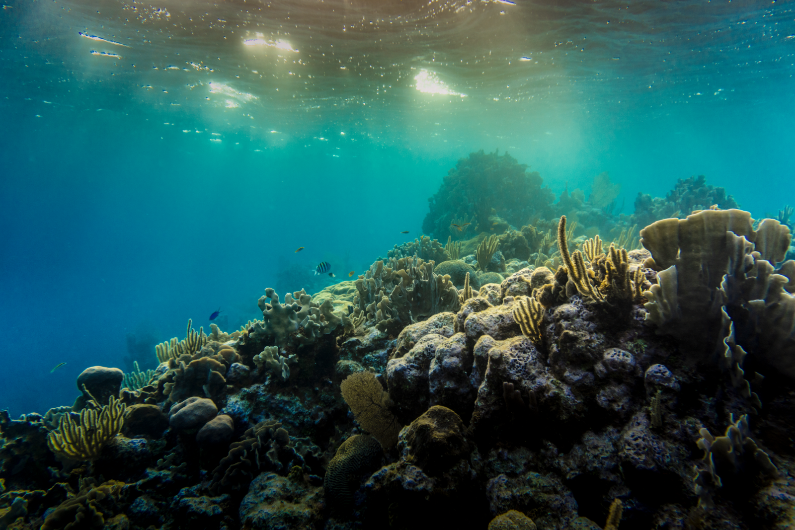 Visit the Great Blue Hole for scuba diving