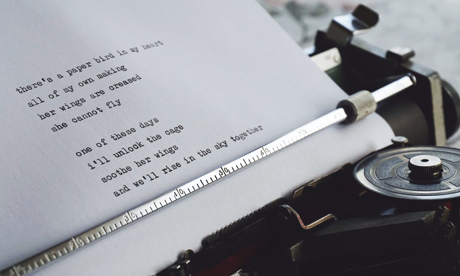 Write a creative story or poem.