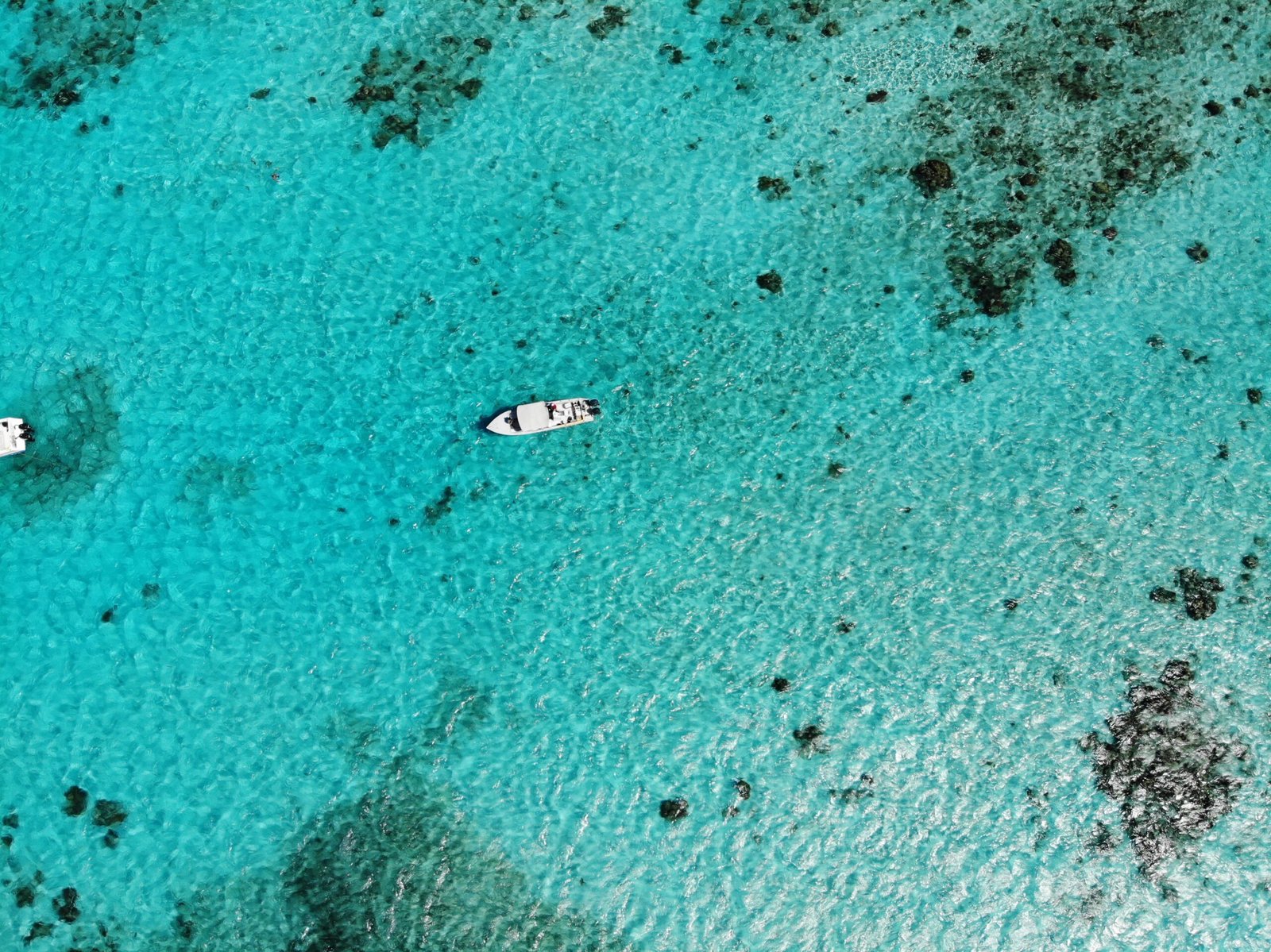 Snorkel at the Belize Barrier Reef