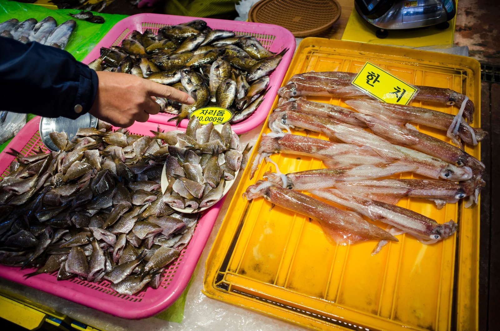 Explore the vibrant Mercado Negro for fresh seafood and local delicacies.