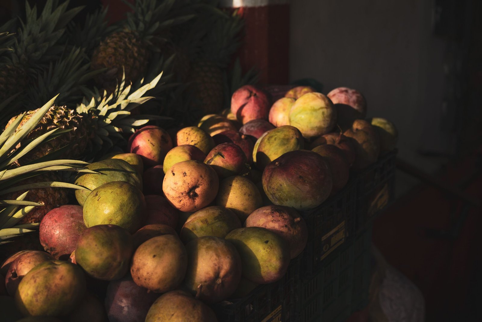 Explore the vibrant Sayulita Farmers Market on Fridays