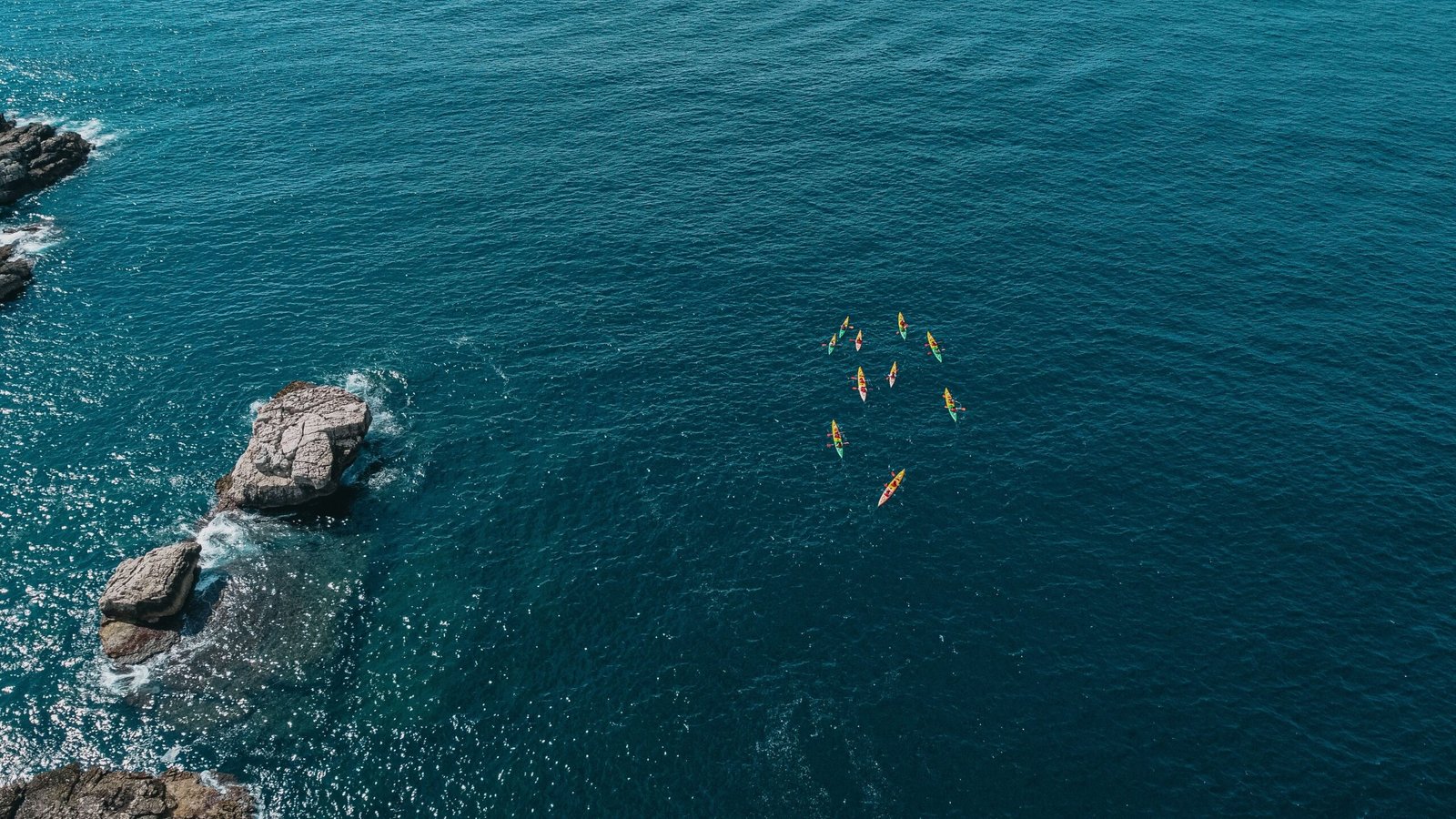 Take a guided eco-tour with the Navarre Beach Kayak Tours.