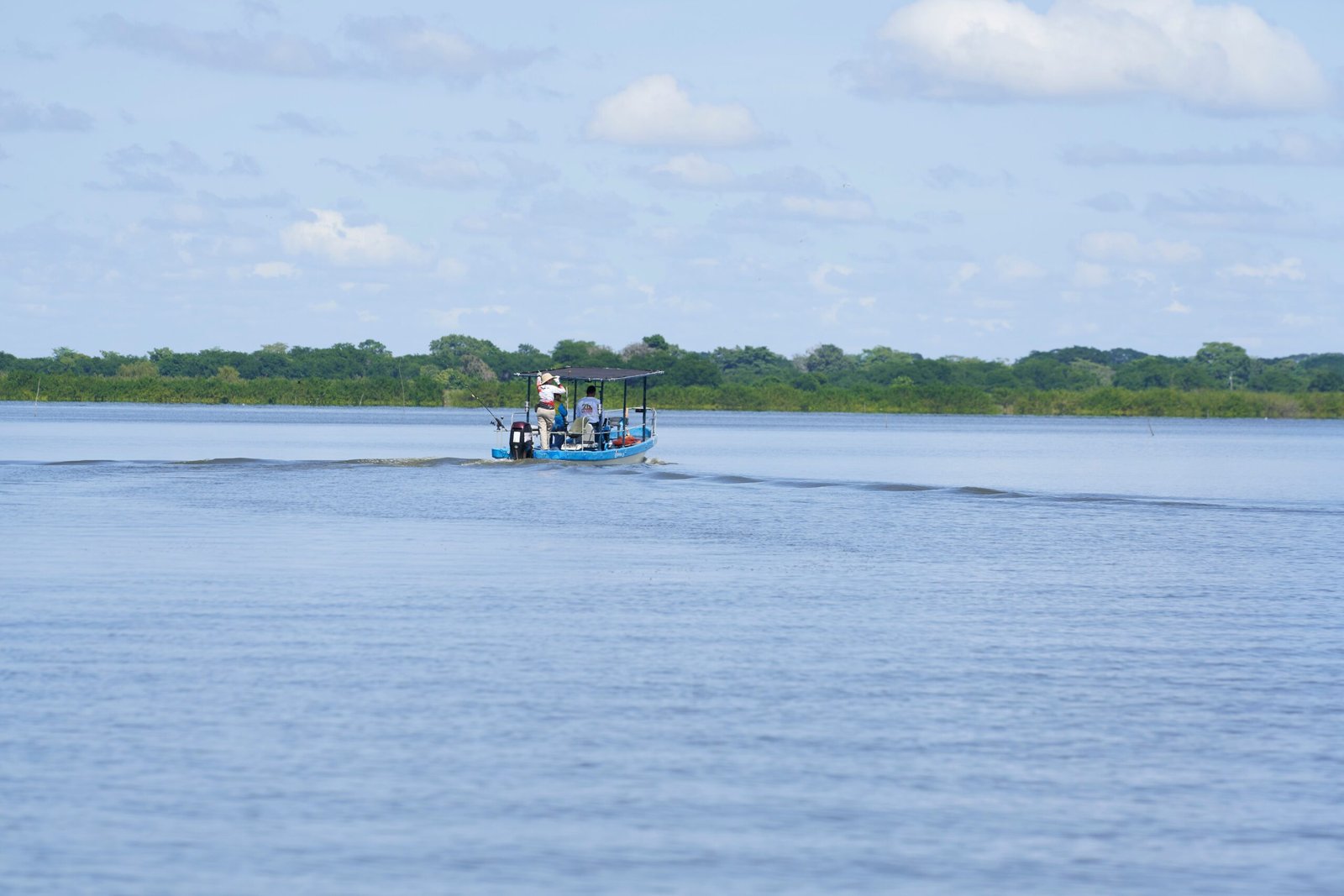 Discover wildlife at the Palo Verde National Park on a boat tour.