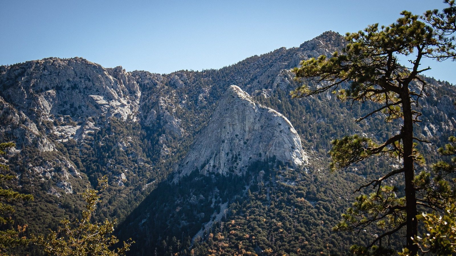 Explore the numerous trails in the San Jacinto State Park.