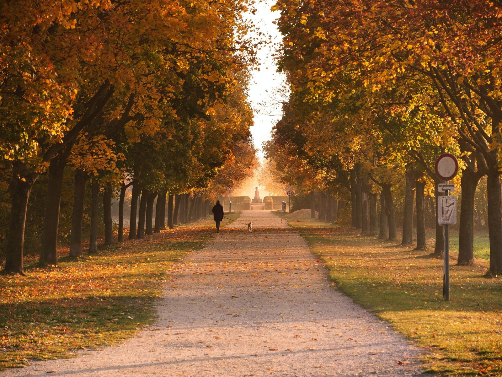 Enjoy a leisurely walk through the beautiful Sacramento River Trail.