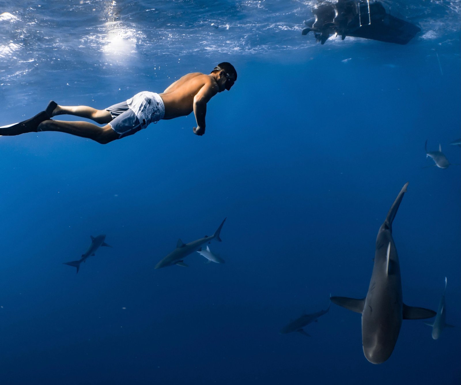 Visit the stunning Shark Ray Alley for close encounters with nurse sharks and rays.