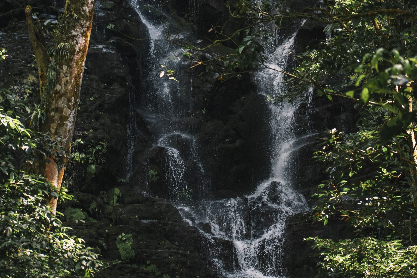 things to do in liberia costa rica