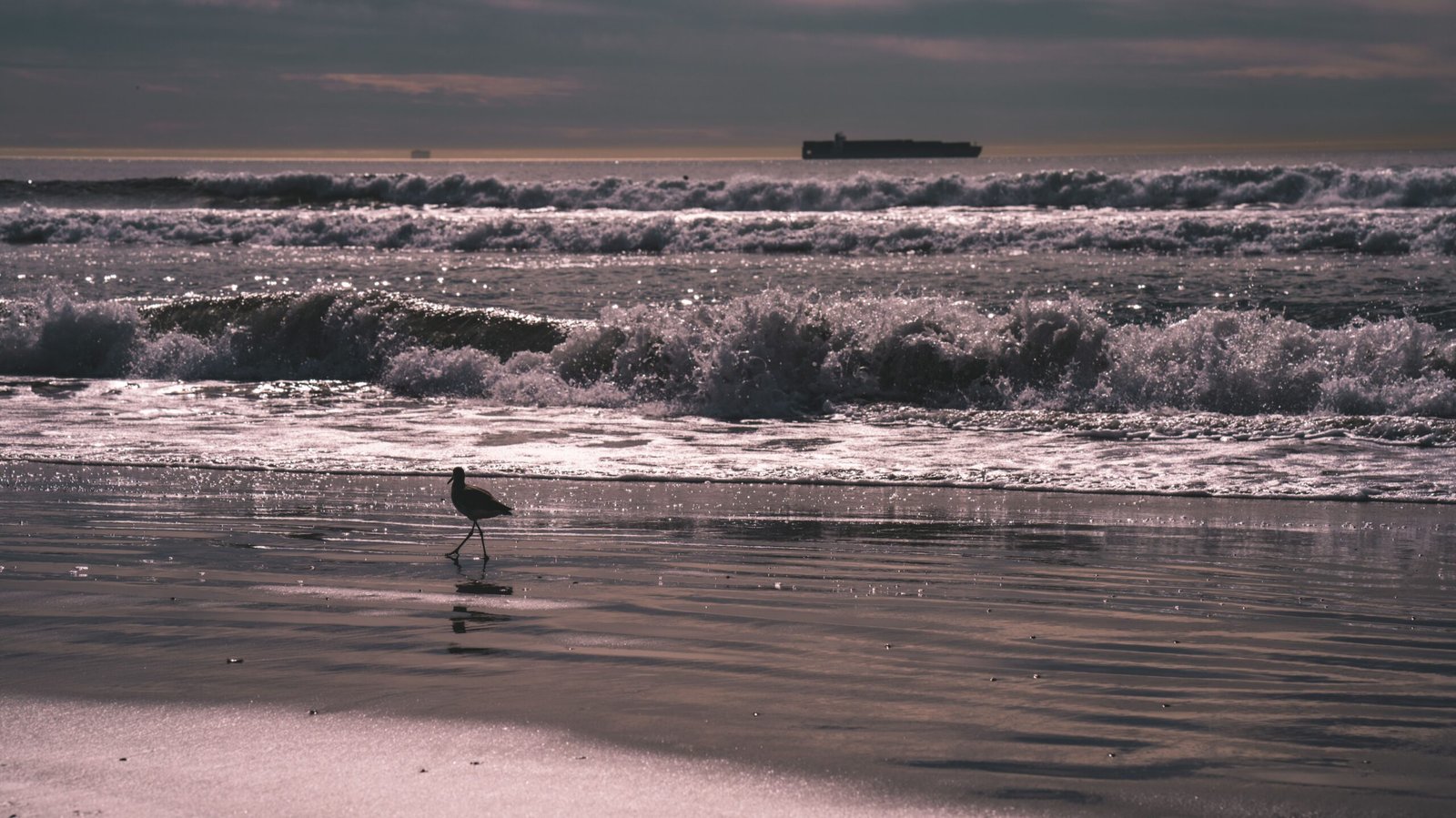 Stroll along Carpinteria State Beach for stunning ocean views