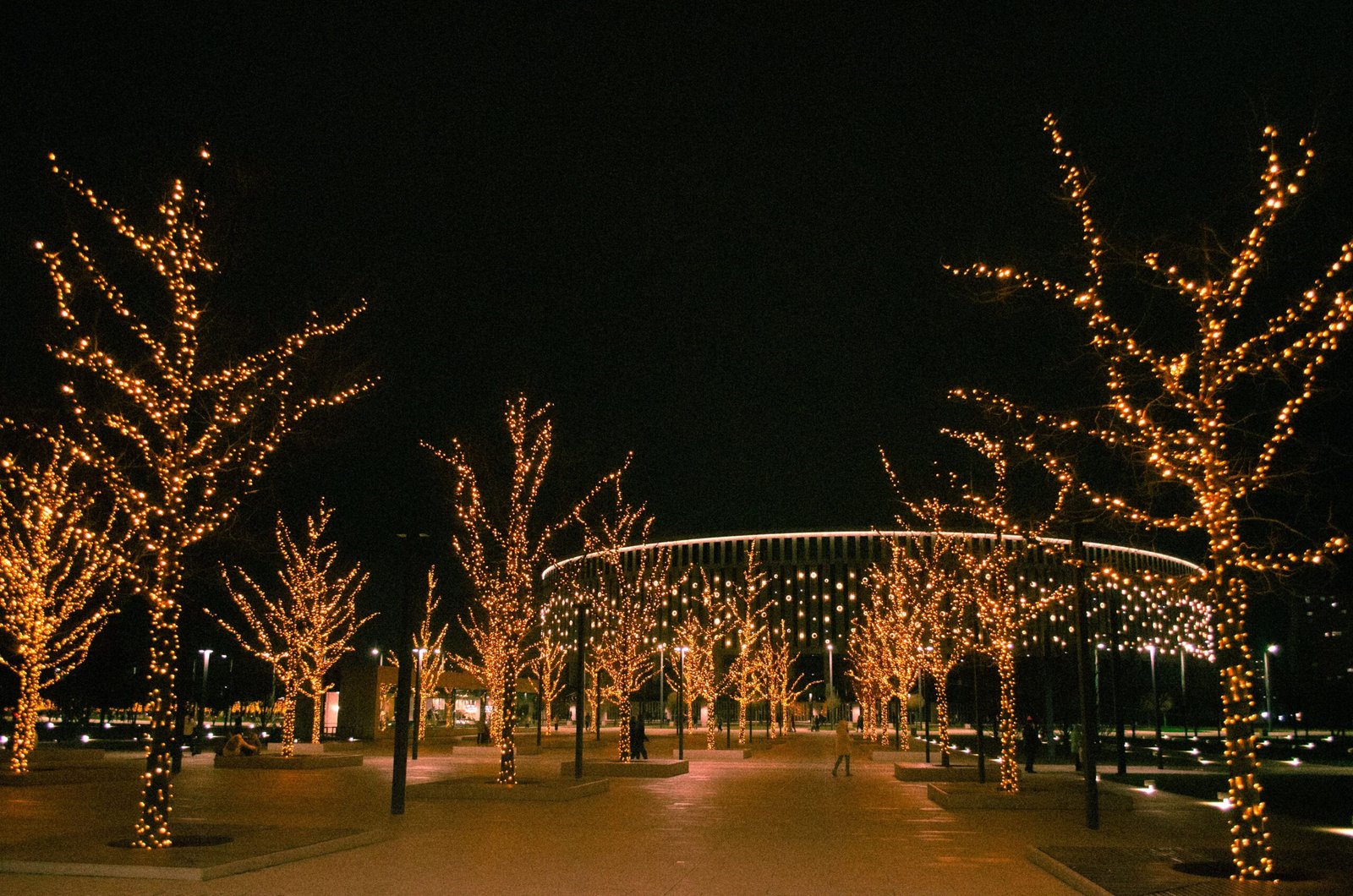 Explore the city’s winter light display in the park.
