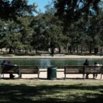 things to do in houston for couples