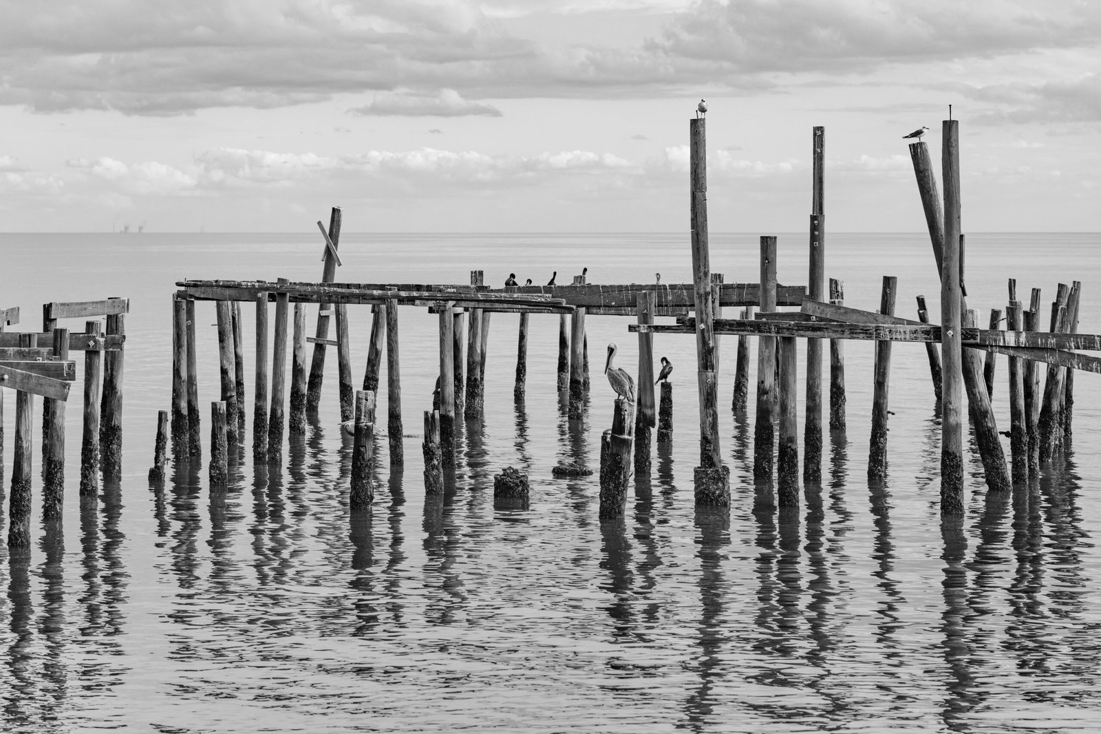 Fish off the pier at Perdido Key State Park.