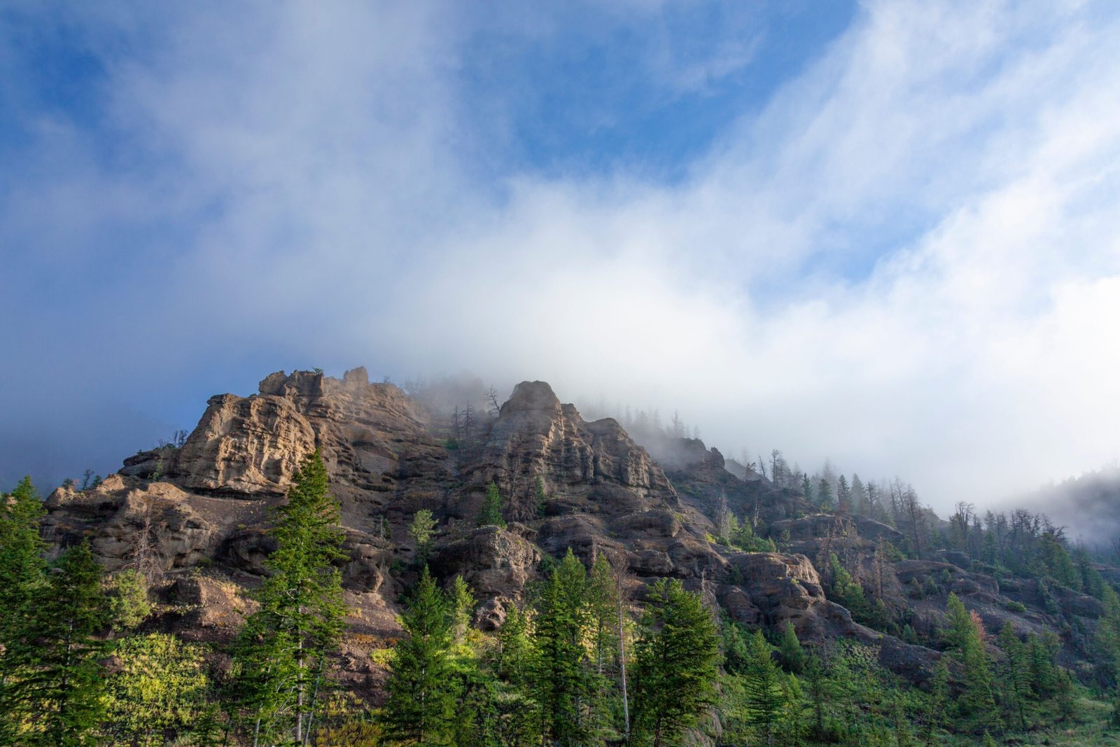 Hike the trails in the Shoshone National Forest for stunning mountain views.