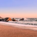 things to do in bodega bay