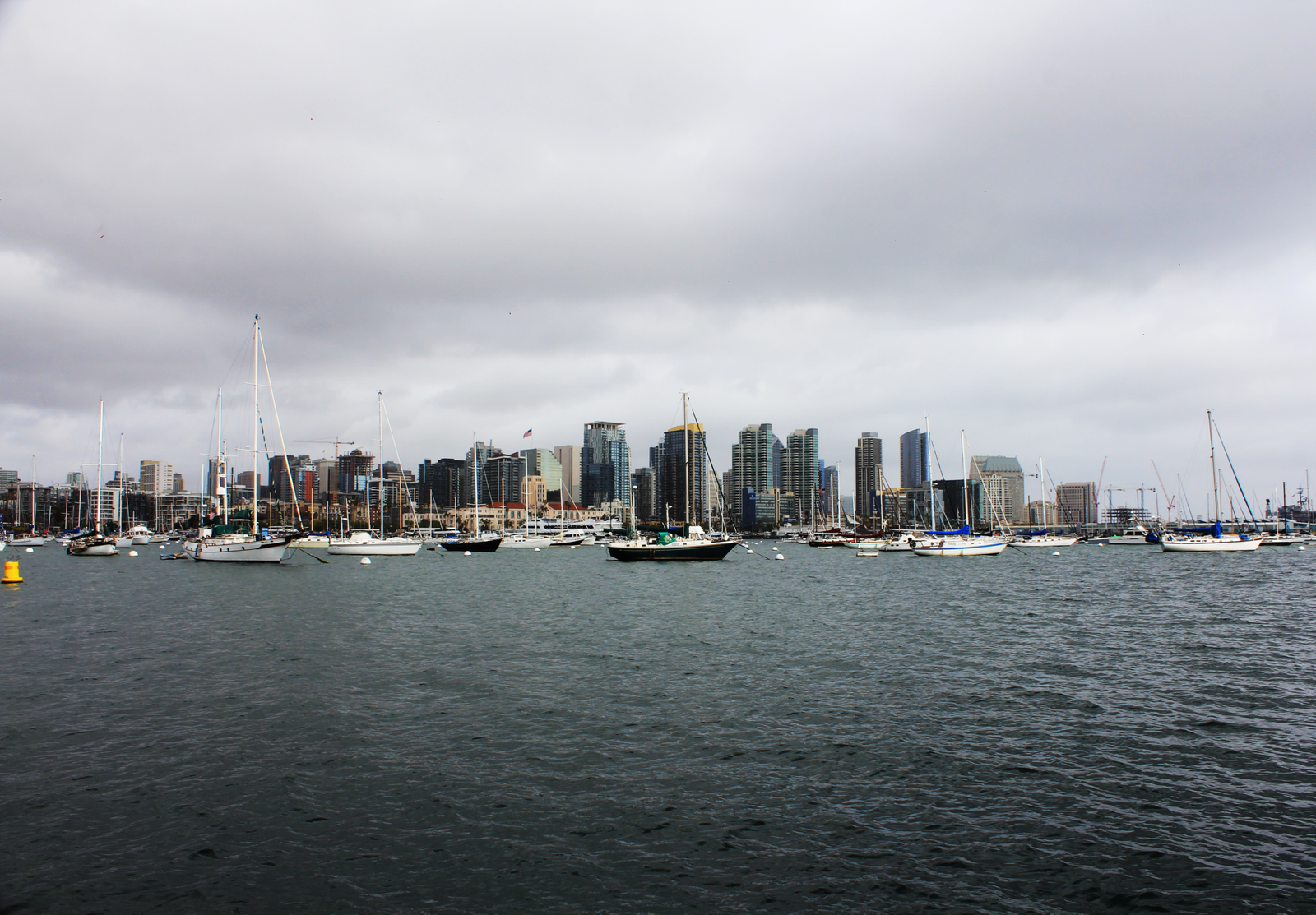Take a scenic harbor cruise in San Diego Bay.