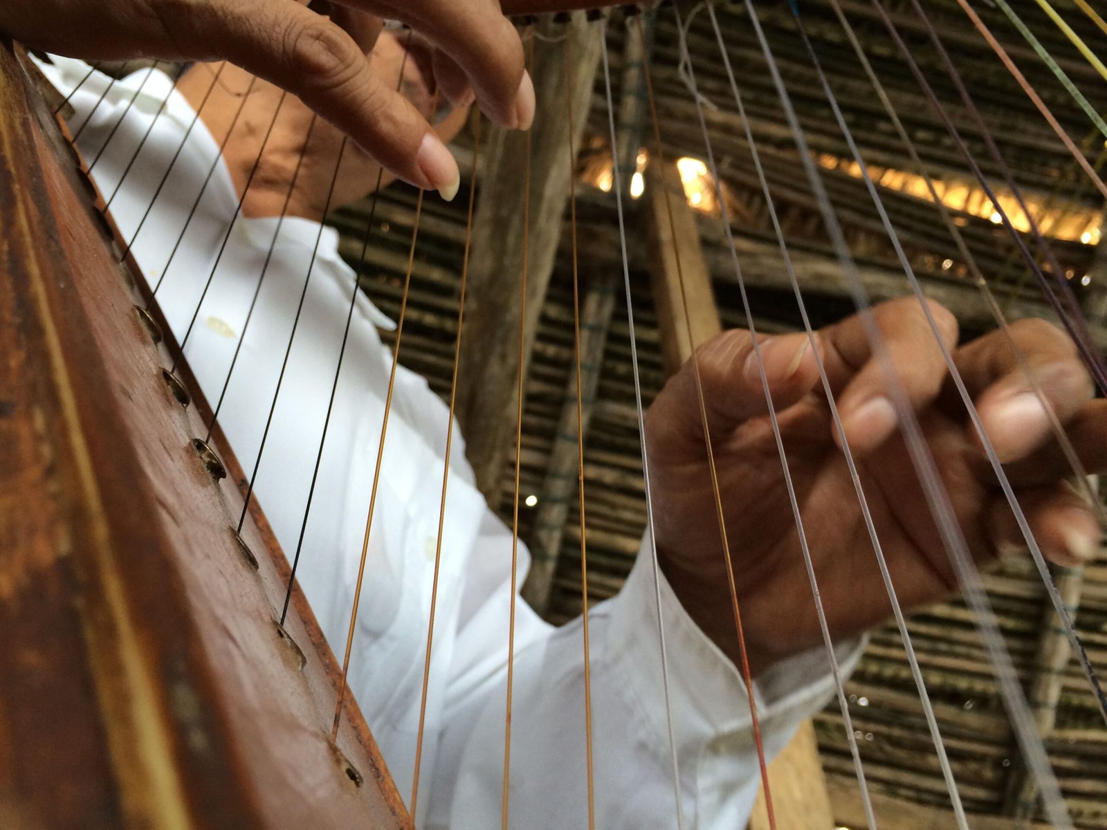 Explore the Ozark Folk Center State Park for traditional crafts and music.