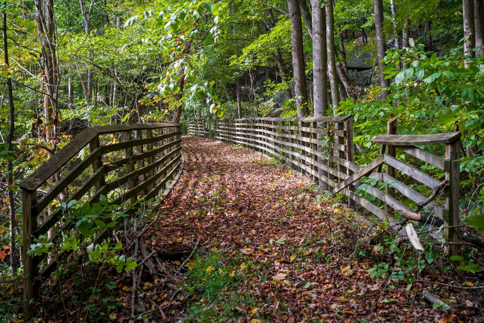 Discover the hiking trails at the nearby Virginia Creeper Trail.
