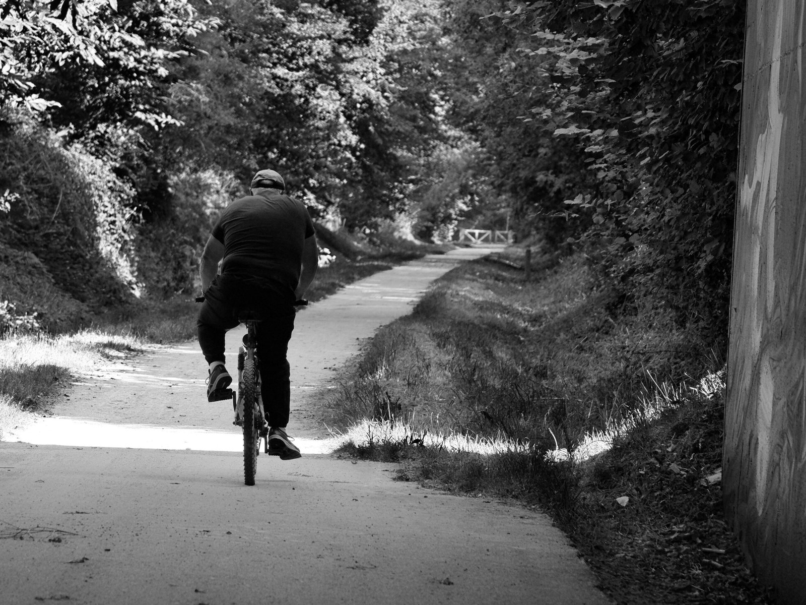 Take a scenic bike ride on the Old Croton Aqueduct Trail.