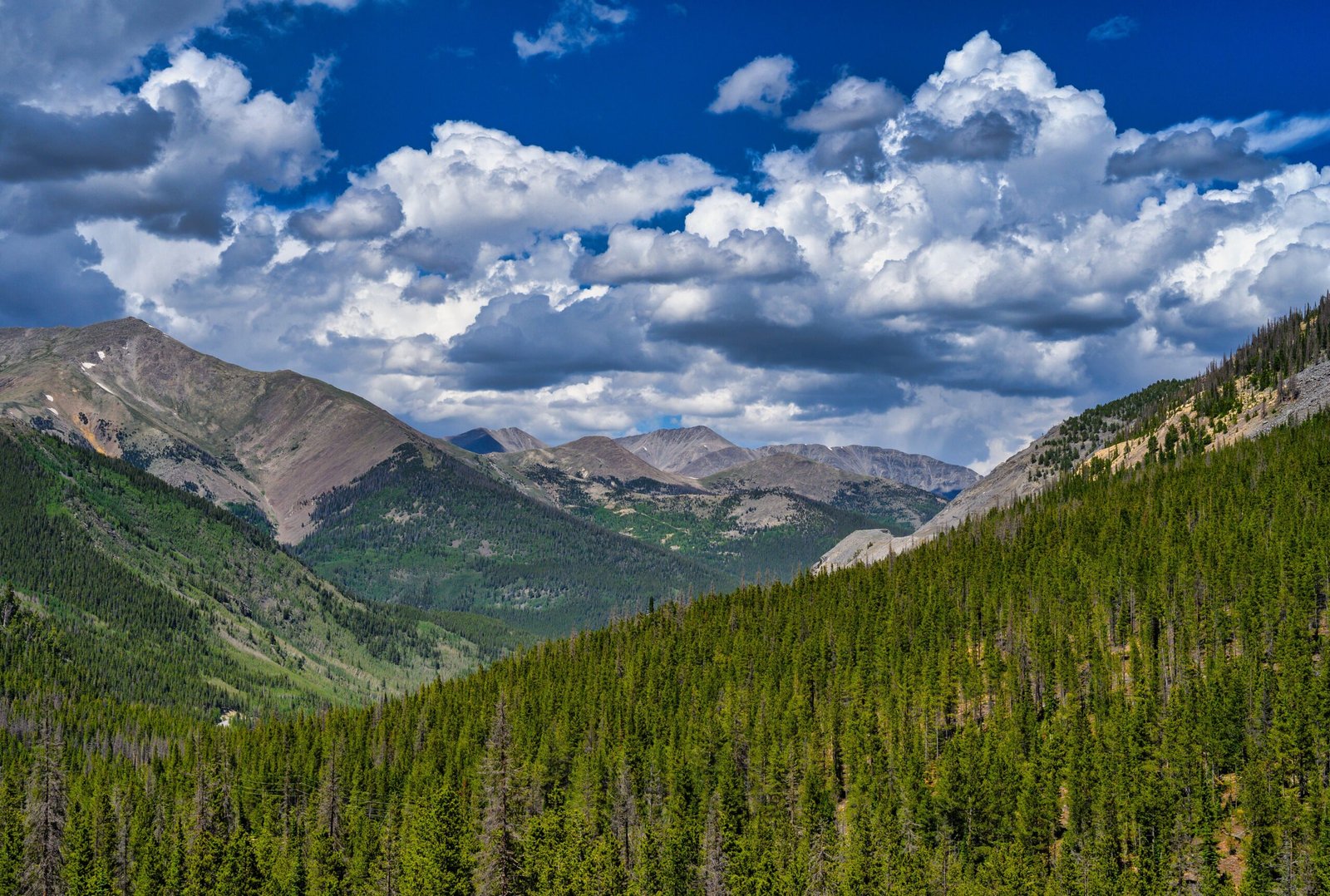 Here are the 25 best things to do in Leadville, CO: