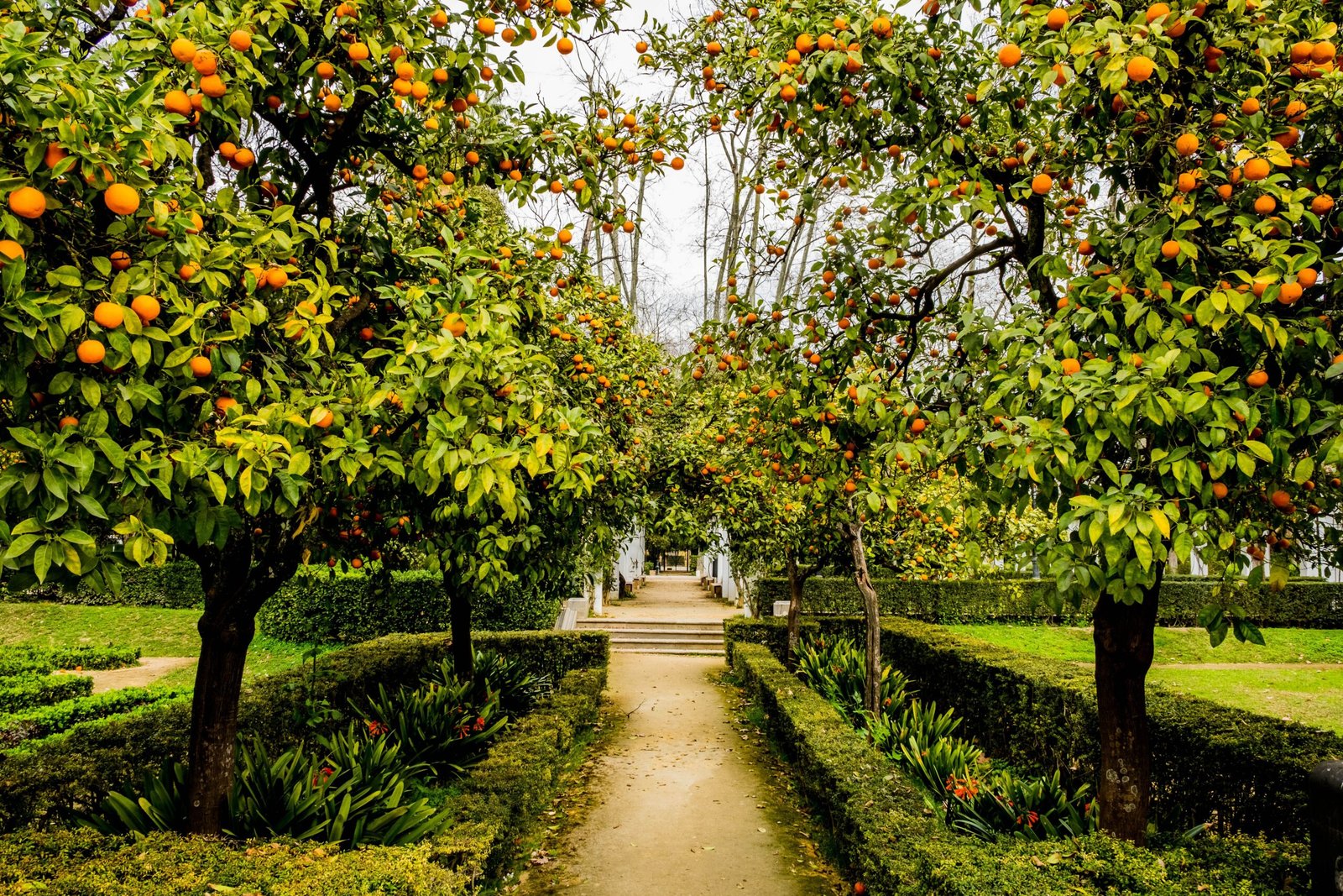 Stroll through the beautiful gardens at the Locust Grove Estate.