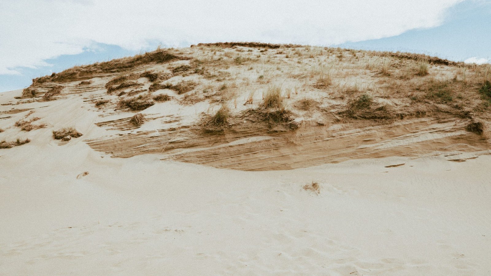 Visit Jockey's Ridge State Park to explore the tallest living sand dune on the East Coast.