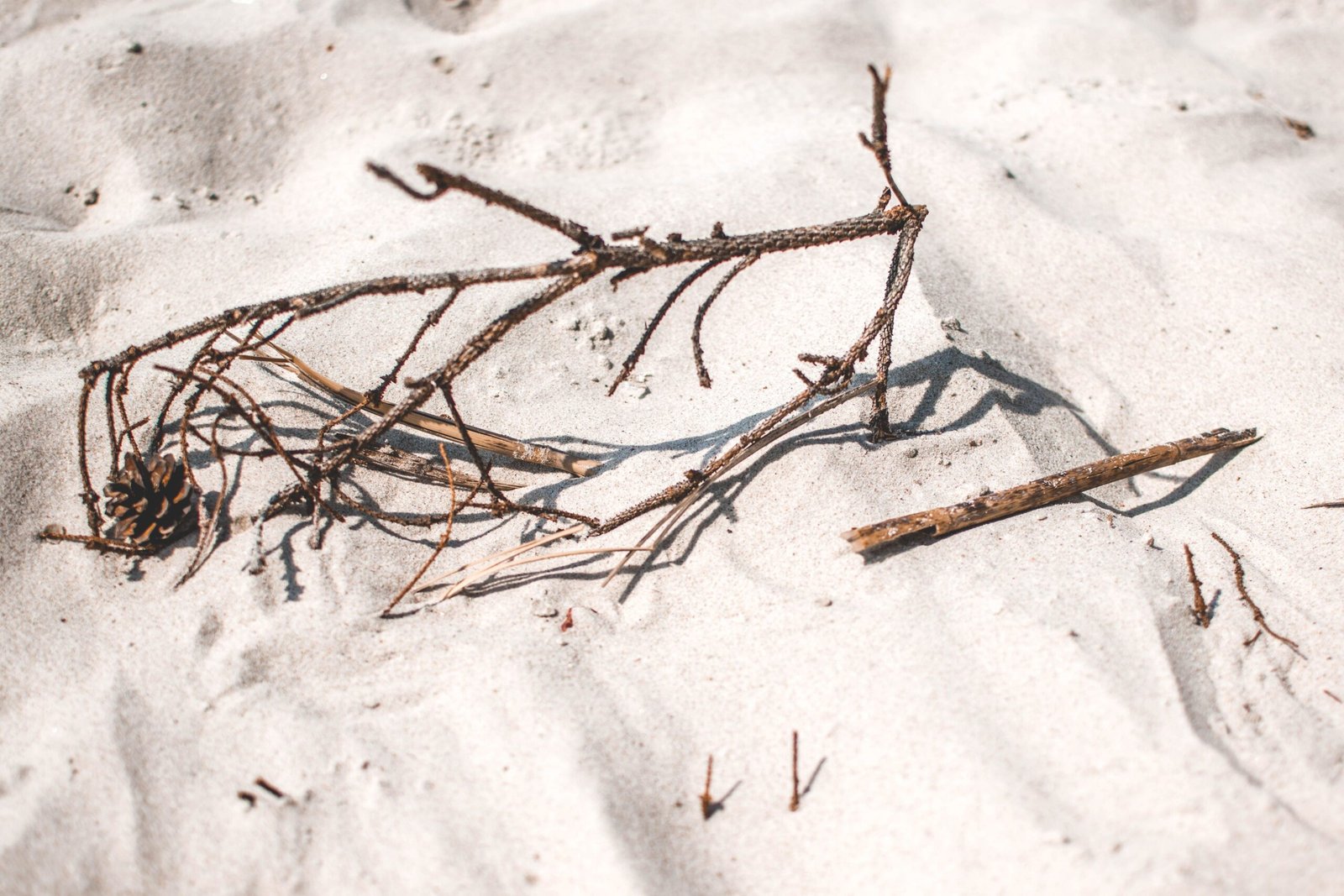 Explore the pristine beaches of Johnson Beach National Seashore.