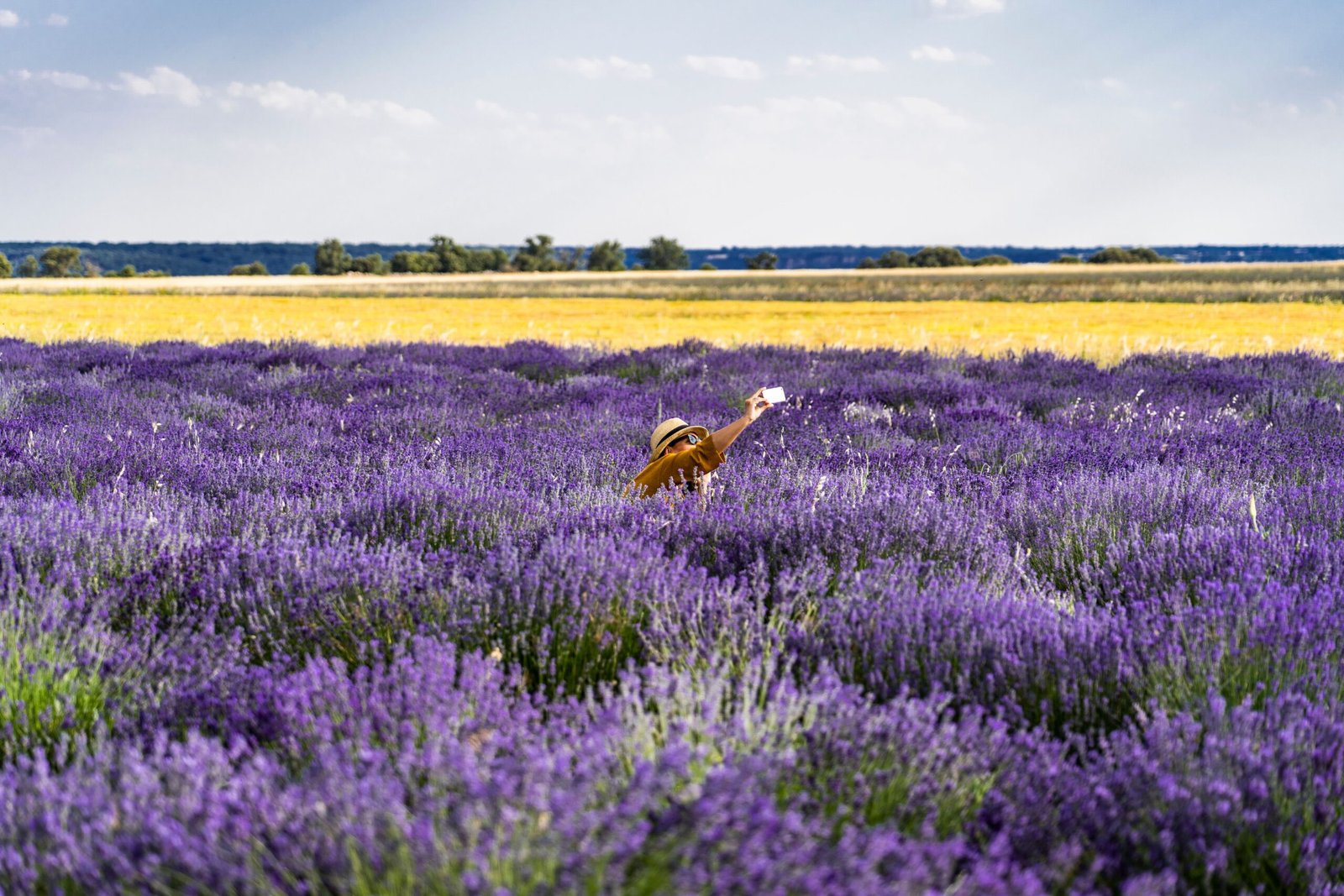 Take a guided tour of the Lavender Pit.