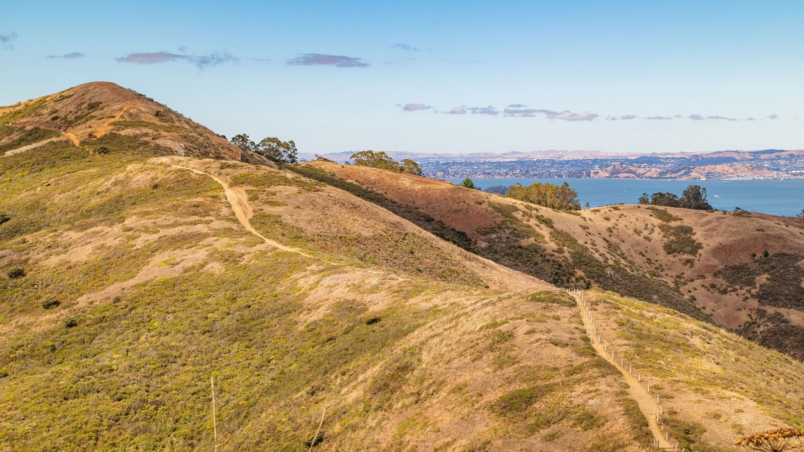 Hike to the scenic Oat Hill Mine Trail.