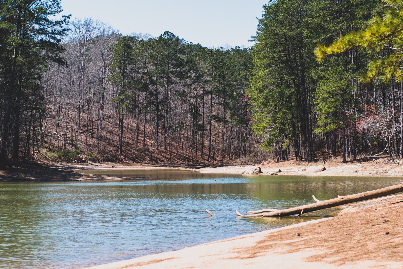 Experience outdoor activities at the scenic Frenchtown Nature Preserve.