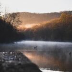 things to do in cookeville tn