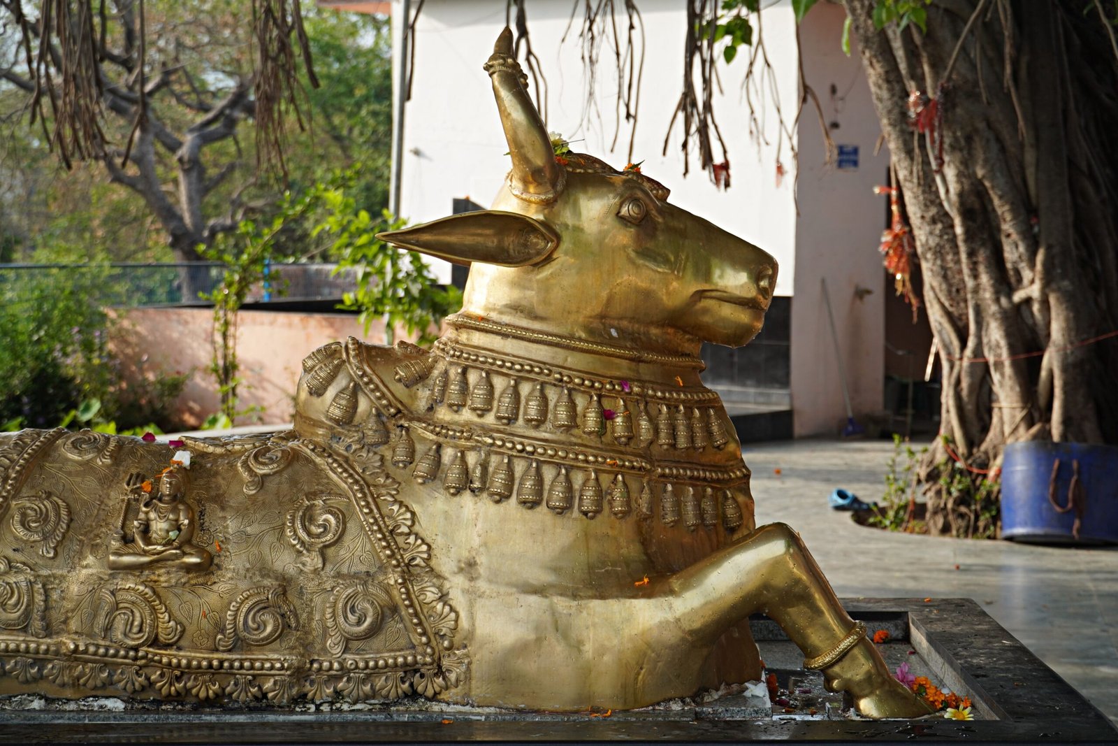 Experience the spiritual ambiance at Bull Temple